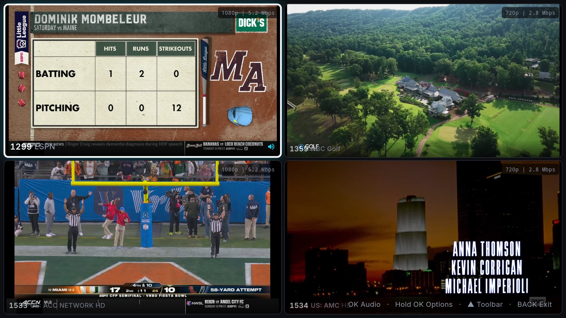 Multi-View playing four live channels in a grid